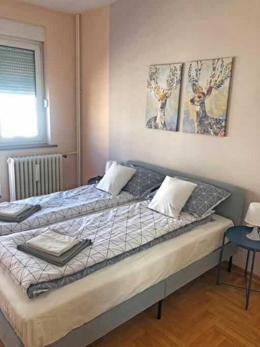 Quince Apartment-Free Parking-City Center Белград Екстер'єр фото